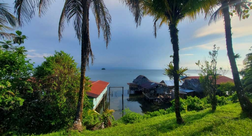 Beyond green grass and palm trees, docks sit on the ocean as it extends out over the horizon